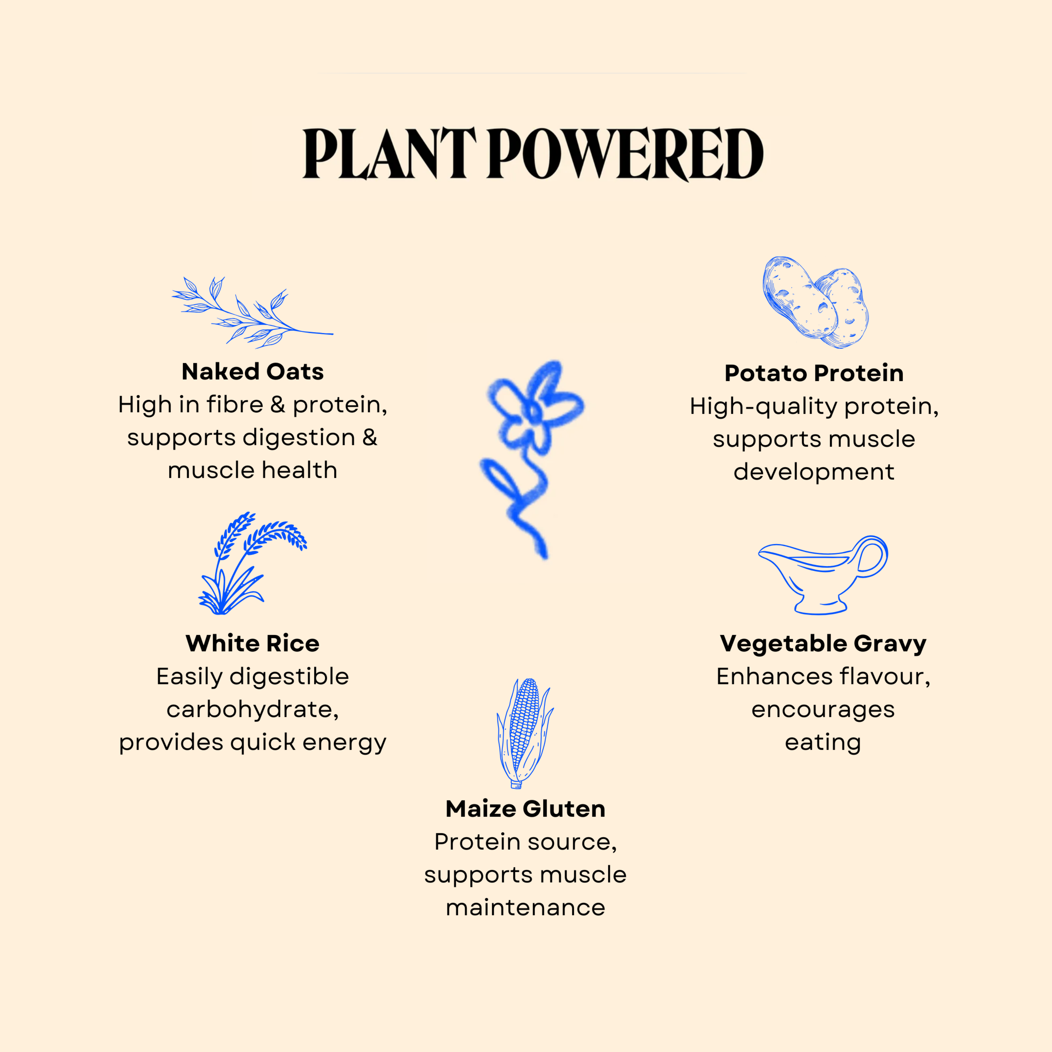 The OG Plant Crunch