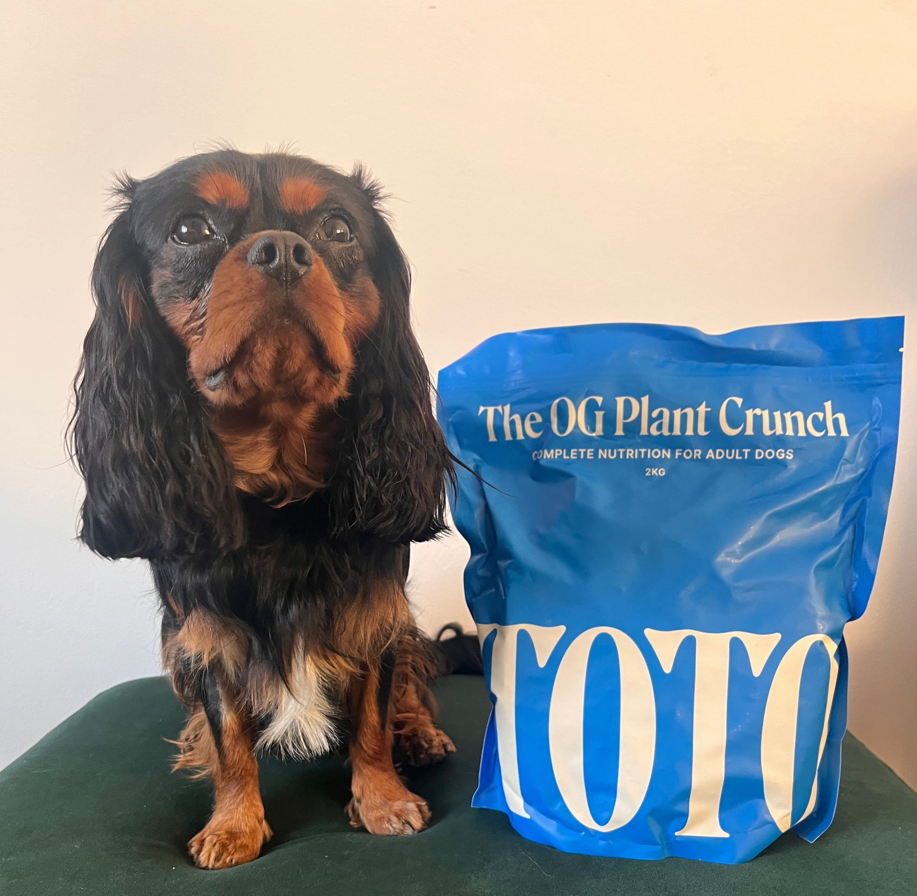 &quot;One bag in and already seeing a difference.